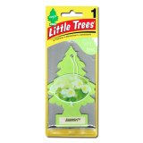 画像: Little Trees ( Jasmin ) 1P 【メール便OK】