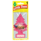 画像: Little Trees ( Morning Fresh ) 1P 【メール便OK】