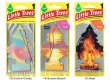 画像6: Little Trees Air Freshener【全43種】【メール便OK】