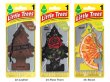 画像8: Little Trees Air Freshener【全43種】【メール便OK】