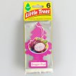 画像1: Little Trees（ Dragon Fruit ）6pac　【メール便OK】
