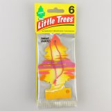 画像: Little Trees（ Sunset Beach ）6pac　【メール便OK】