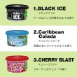 画像3: Little Trees FIBER CAN Air Fresheners 5個セット【メール便送料無料】