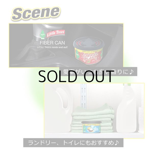 画像3: Little Trees FIBER CAN  ( Green Apple )【廃盤・在庫限り】