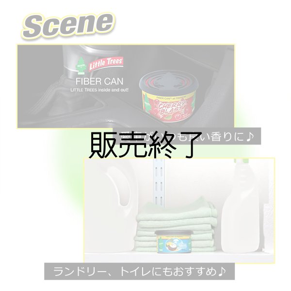 画像3: 【販売終了】Little Trees FIBER CAN  ( Green Apple )