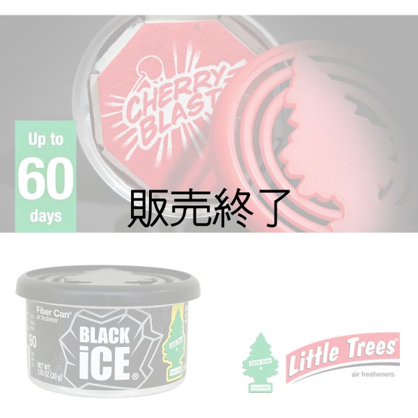 画像4: 【販売終了】Little Trees FIBER CAN  ( Green Apple )