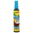 画像1: Little Trees Spray ( Carribean Colada )