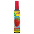 画像1: Little Trees Spray ( Strawberry )