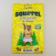 画像3: Squirrel in underpants Deluxe Air Freshener　【メール便OK】