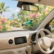 画像3: 3D HUMMINGBIRD AIR FRESHENER【メール便OK】