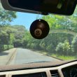 画像4: Sport Expressions Air Freshener ( Basketball )【メール便OK】