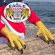 画像2: Eagle Talons