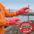 画像1: Giant Lobster Claws