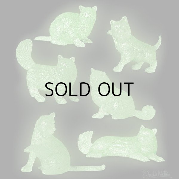 画像2: GLOW CATS 【6種類Set】