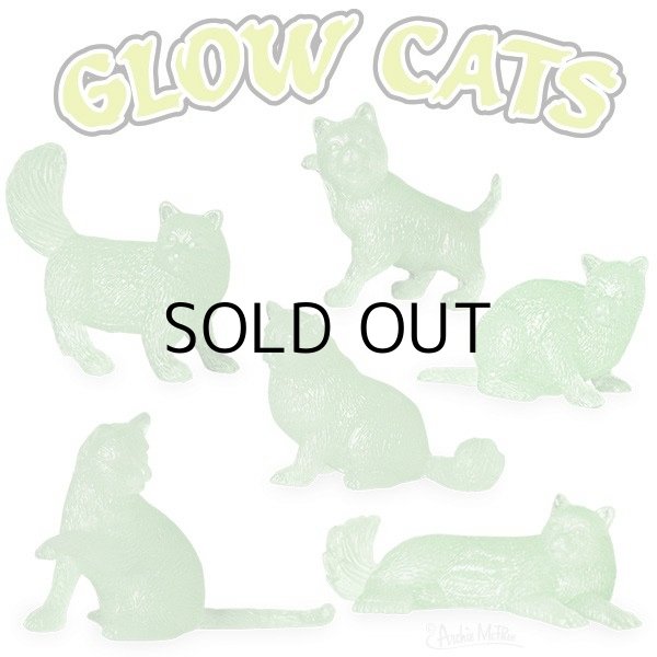 画像1: GLOW CATS 【6種類Set】