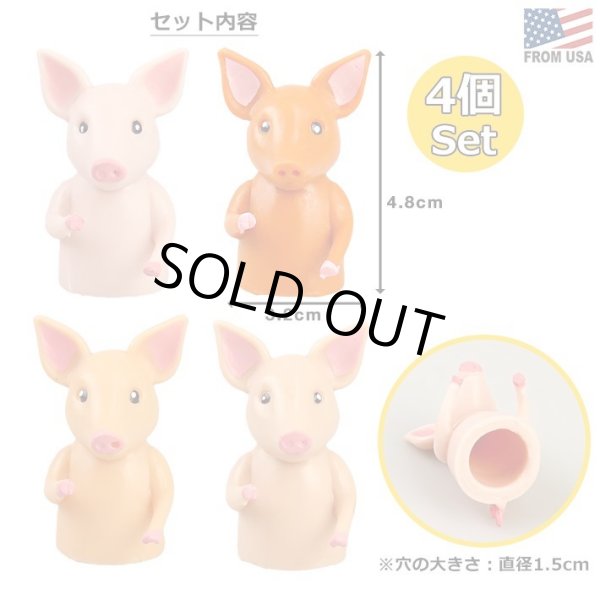 画像2: FINGER PIGS