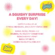 画像2: Squishy Advent Calendar【送料無料】