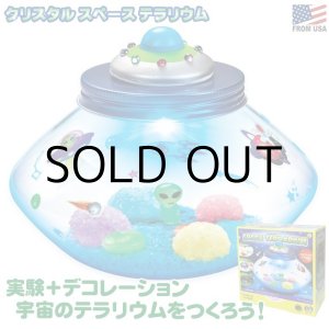 画像: Creativity for Kids Crystal Space Terrarium