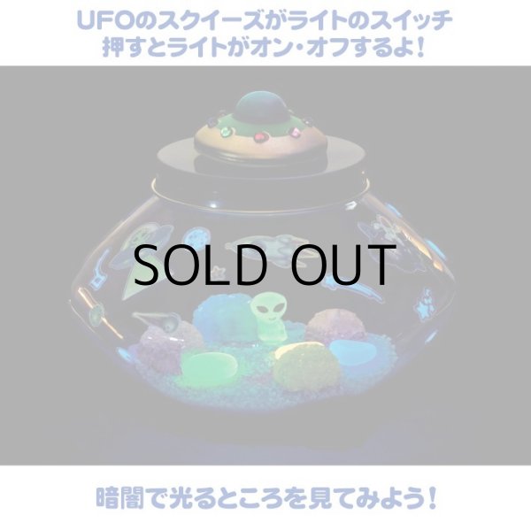 画像7: Creativity for Kids Crystal Space Terrarium