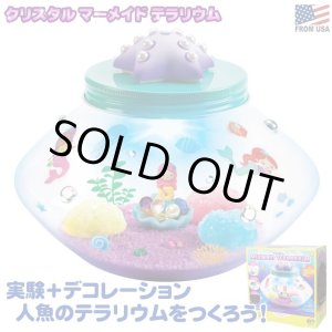 画像: Creativity for Kids Crystal Mermaid Terrarium
