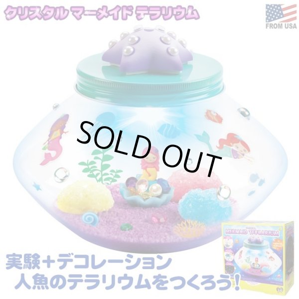 画像1: Creativity for Kids Crystal Mermaid Terrarium