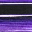 画像4: MOLINA Tow Color Serape (Black Purple)