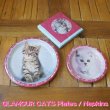 画像1: GLAMOUR CATS PLATE/NAPKIN【全3種】