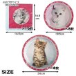 画像3: GLAMOUR CATS PLATE/NAPKIN【全3種】