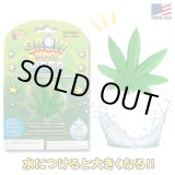 画像: Grow Your Own Weed