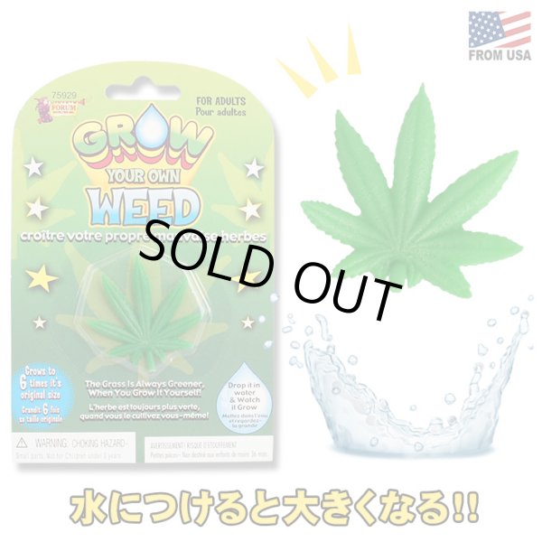 画像1: Grow Your Own Weed