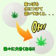 画像2: Grow Your Own Weed