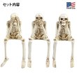 画像2: Skeleton Shelf Sitters