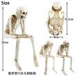 画像3: Skeleton Shelf Sitters