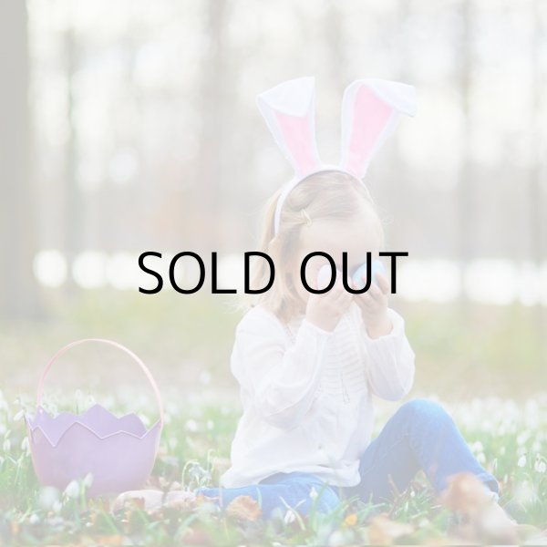 画像7: Easter Basket Egg Shape【全2種】