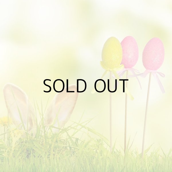 画像6: Easter Egg Picks 24pk