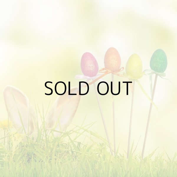 画像5: Easter Egg Picks mini