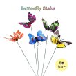 画像1: Butterfly Stakes