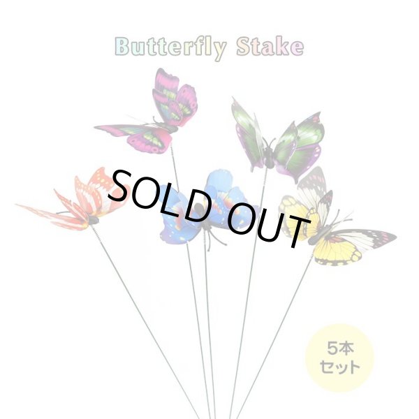 画像1: Butterfly Stakes