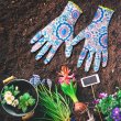画像3: Gardening Gloves（Blue）
