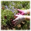 画像4: Gardening Gloves（Pink）