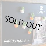 画像: 3D Cactus Magnet【全2種】