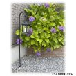 画像5: Shepherd Hooks Flowerpot Hook Plant Stand