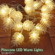 画像1: Pinecone LED Warm Lights【3ｍ・20球】