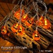 画像1: Pumpkin LED Light【1.5ｍ・10球】
