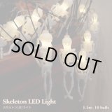 画像: Skeleton LED lights【1.5ｍ・10球】