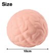 画像2: Brain Squeeze
