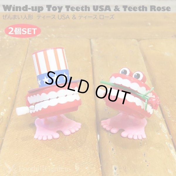 画像1: Wind-up toy Teeth Rose ＆ Teeth USA Set