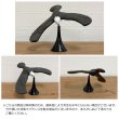 画像4: Blancing Eagle