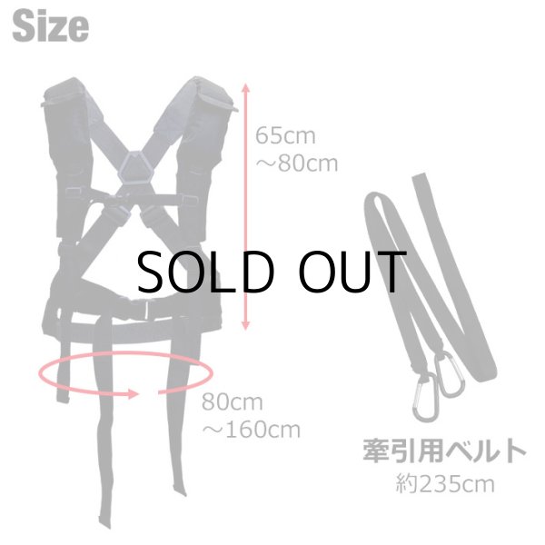 画像4: Jet Sled Shoulder Harness