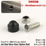 画像: Jet Sled Wear Bar Kit Option Bolt （ジェットスレッド ウェアバー オプションボルト SWB3用）